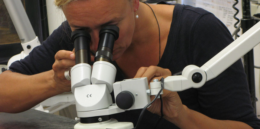 Bei der Restaurierung - Geertje Foth untersucht ein Gemälde mittels Mikroskop