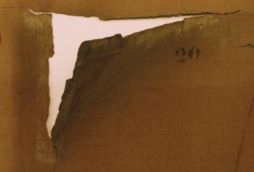 Canvas damage in detail